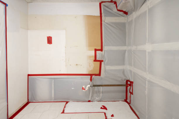 Best Commercial Mold Inspection  in Chester, SC