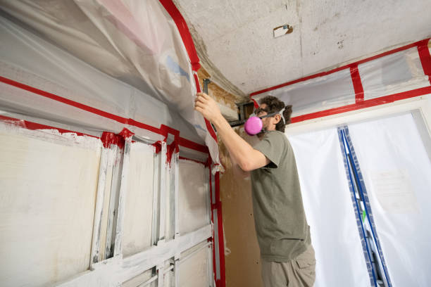 Best Attic Mold Removal  in Chester, SC